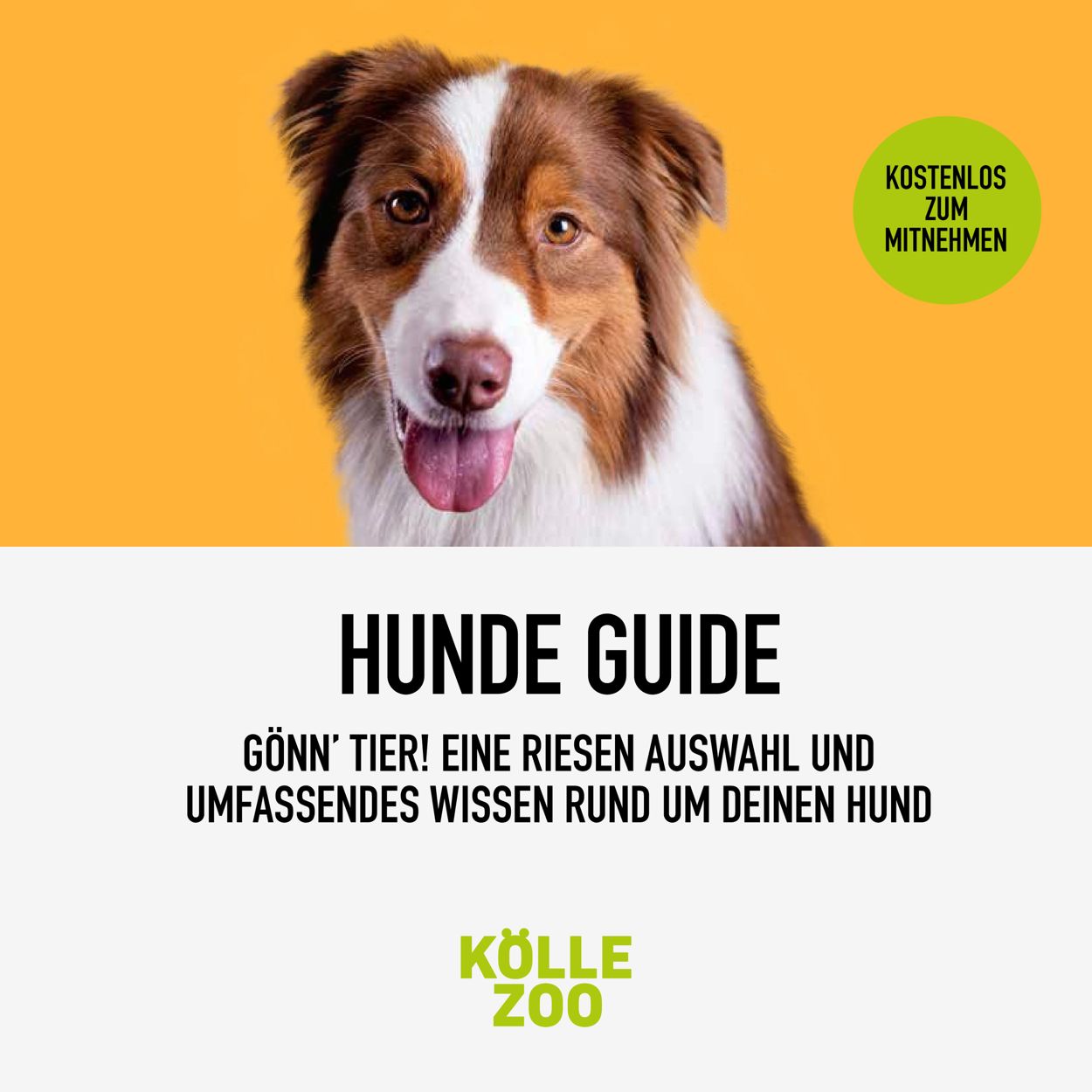Prospekt Kölle Zoo vom 27.07.2022