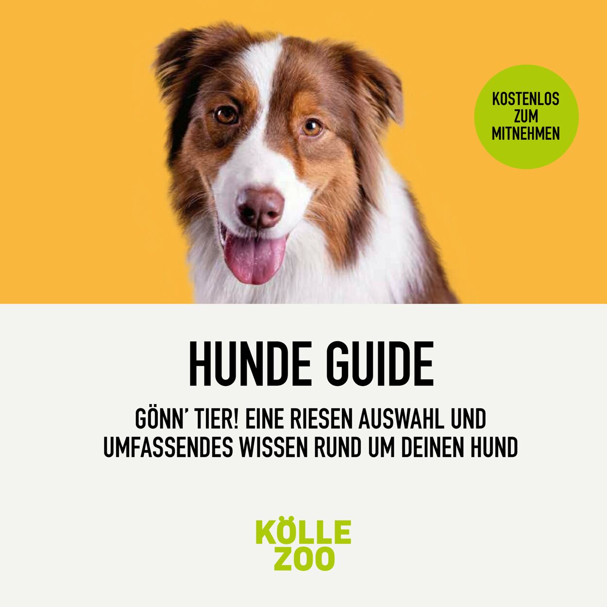Prospekt Kölle Zoo vom 01.09.2022