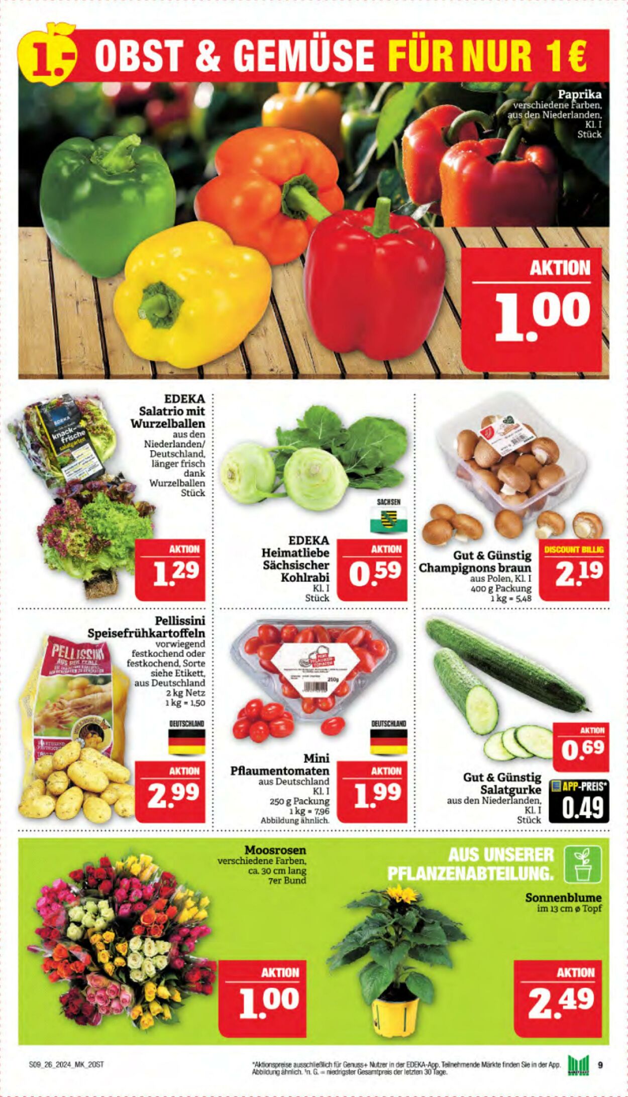 Prospekt Marktkauf - Görlitz vom 24.06.2024